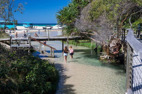 All-Inclusive Fraser Island Day Tour - Hervey Bay Accommodation 4