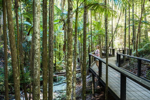 All-Inclusive Fraser Island Day Tour - Hervey Bay Accommodation 5