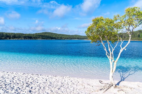 Lake McKenzie Full-Day Tour With Lunch From Hervey Bay - Hervey Bay Accommodation 1