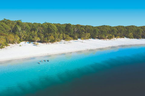 Lake McKenzie Full-Day Tour With Lunch From Hervey Bay - Hervey Bay Accommodation 4