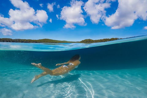 Lake McKenzie Full-Day Tour With Lunch From Hervey Bay - Hervey Bay Accommodation 5