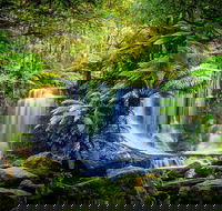 Day Tour in Mt. Field Mt. Wellington Bonorong Wildlife Sanctuary and Richmond - Tourism Hervey Bay