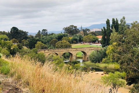 Day Tour In Mt. Field, Mt. Wellington, Bonorong Wildlife Sanctuary And Richmond - Hervey Bay Accommodation 3