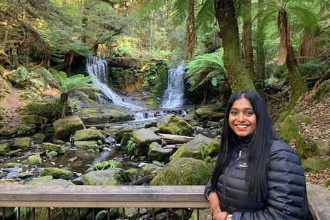 Day Tour In Mt. Field, Mt. Wellington, Bonorong Wildlife Sanctuary And Richmond - Hervey Bay Accommodation 5