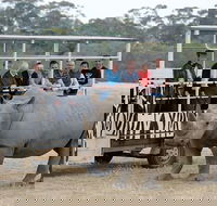 Off-Road Safari at Werribee Open Range Zoo - Tourism Hervey Bay