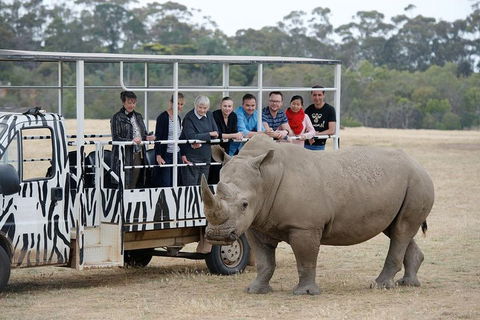 Off-Road Safari At Werribee Open Range Zoo - Hervey Bay Accommodation 0