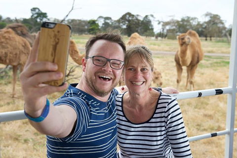Off-Road Safari At Werribee Open Range Zoo - Hervey Bay Accommodation 1