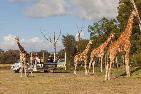 Off-Road Safari At Werribee Open Range Zoo - Hervey Bay Accommodation 3