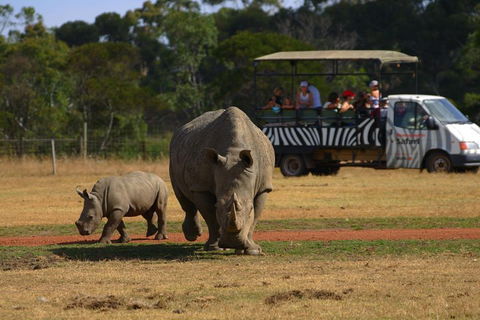 Off-Road Safari At Werribee Open Range Zoo - Hervey Bay Accommodation 5