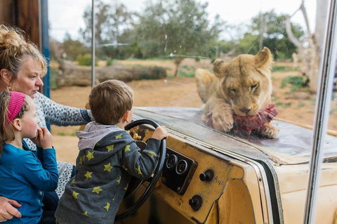 Werribee Open Range Zoo General Admission Ticket - Tourism Hervey Bay 4