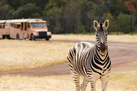 Werribee Open Range Zoo General Admission Ticket - Tourism Hervey Bay 5