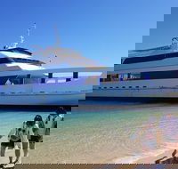 Moreton Island Day Trip Kayak Snorkel  Sandboard frm Brisbane or Gold Coast - Hervey Bay Accommodation