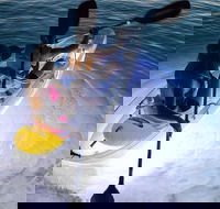 2-Day Moreton Island Tour from Brisbane or Gold Coast with Optional Nighttime Kayaking - Hervey Bay Accommodation