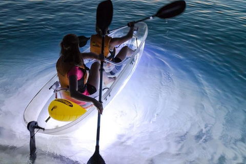 2-Day Moreton Island Tour From Brisbane Or Gold Coast With Optional Nighttime Kayaking - Hervey Bay Accommodation 0