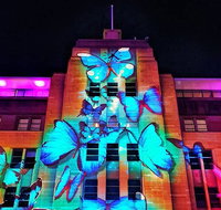 Vivid 90-Minute Sydney Harbour Small Group Catamaran Cruise - Hervey Bay Accommodation