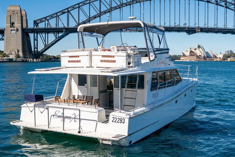 Vivid 90-Minute Sydney Harbour Small Group Catamaran Cruise - Hervey Bay Accommodation 4