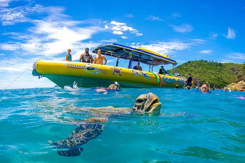 Great Barrier Reef Scenic Flight And Ocean Rafting Whitehaven Beach Day Trip - Hervey Bay Accommodation 1