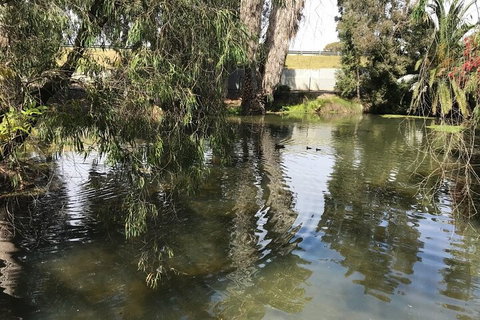 Perth East Foreshore And City Segway Tour - Hervey Bay Accommodation 1