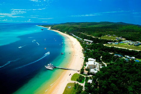 Tangalooma Island Resort Whale Watching Day Cruise - Tourism Hervey Bay 2