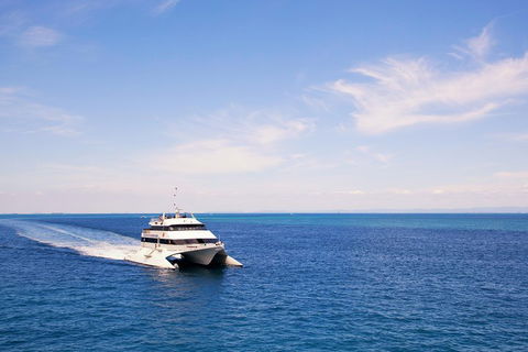 Tangalooma Island Resort Whale Watching Day Cruise - Tourism Hervey Bay 5