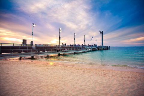 Tangalooma Island Resort Whale Watching Day Cruise With Dolphin Viewing - Tourism Hervey Bay 3
