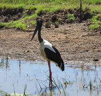 Darwin to Kakadu Day Trip by Air Including Yellow Water Cruise - Tourism Hervey Bay