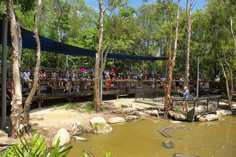 Hartley's Crocodile Adventures Breakfast With The Koalas - Tourism Hervey Bay 1