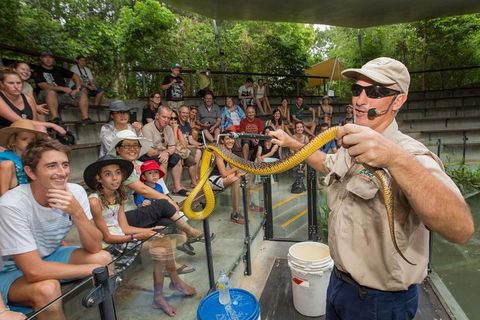 Hartley's Crocodile Adventures Breakfast With The Koalas - Tourism Hervey Bay 3