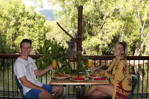 Hartley's Crocodile Adventures Breakfast With The Koalas - Tourism Hervey Bay 5