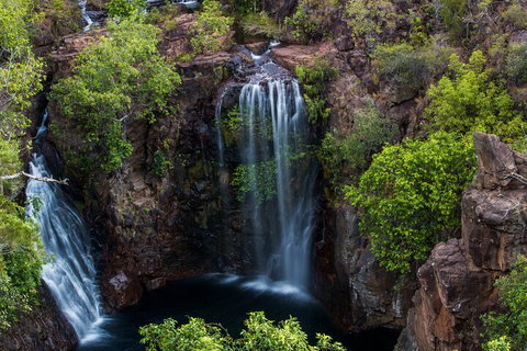 Litchfield National Park - Top End Day Tour From Darwin - Tourism Hervey Bay 2
