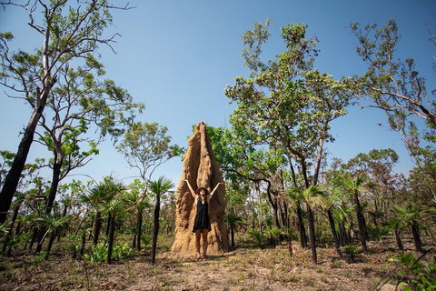 Litchfield National Park - Top End Day Tour From Darwin - Tourism Hervey Bay 5