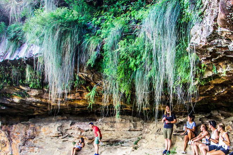 Sunset Blue Mountains Wilderness & Wildlife Tour Without The Crowds - Hervey Bay Accommodation 1