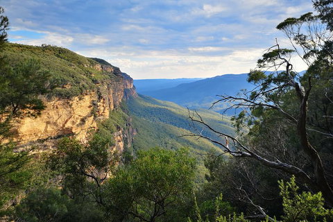 Sunset Blue Mountains Wilderness & Wildlife Tour Without The Crowds - Hervey Bay Accommodation 2