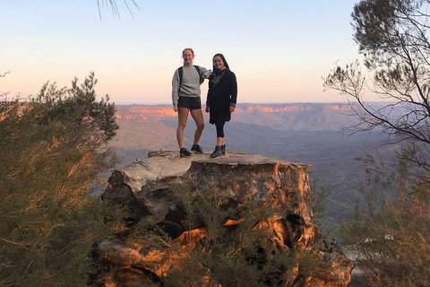 Sunset Blue Mountains Wilderness & Wildlife Tour Without The Crowds - Hervey Bay Accommodation 3