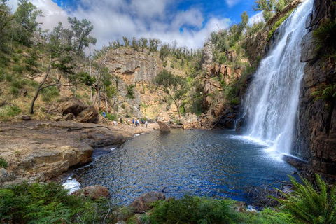 Melbourne To Adelaide South East Coast 3 Day Overland Tour - Tourism Hervey Bay 4