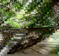 12 Apostles Eco-Friendly Great Ocean Road Iconic Adventure from Melbourne - Tourism Hervey Bay
