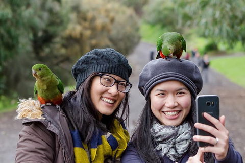 Small-Group Great Ocean Road And 12 Apostles Full-Day Tour From Melbourne - Tourism Hervey Bay 0