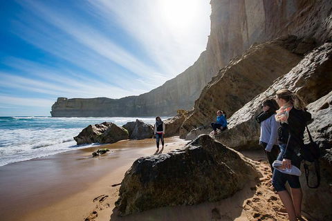 Small-Group Great Ocean Road And 12 Apostles Full-Day Tour From Melbourne - Tourism Hervey Bay 1