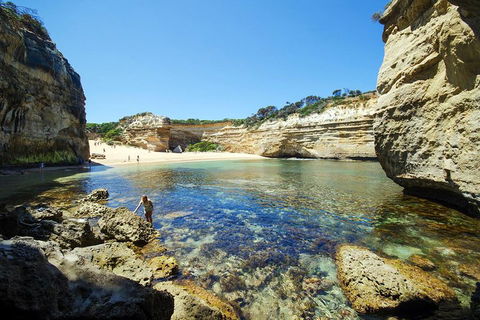 Small-Group Great Ocean Road And 12 Apostles Full-Day Tour From Melbourne - Tourism Hervey Bay 5