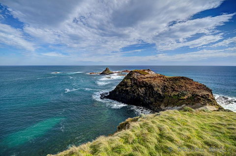 Small-Group Phillip Island Day Trip From Melbourne With Penguin Plus Viewing - Hervey Bay Accommodation 0