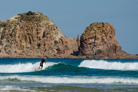 Small-Group Phillip Island Day Trip From Melbourne With Penguin Plus Viewing - Hervey Bay Accommodation 3