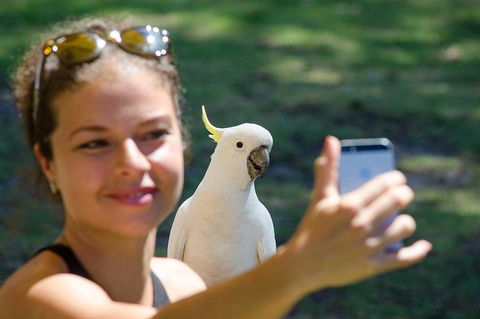 Small-Group Great Ocean Road Experience And Surf Coast Tour - Tourism Hervey Bay 3