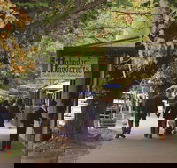 Adelaide Highlights Hahndorf  McLaren Vale Wine Tasting and Sightseeing Tour - Tourism Hervey Bay