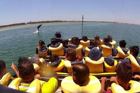 Express Jet Boat Ride + Aquaduck - Hervey Bay Accommodation 4