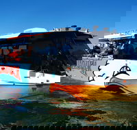 Paradise Jet Boating and Aquaduck Combo - Hervey Bay Accommodation