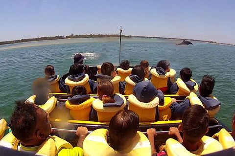 Jet Boat Express Ride - 30mins - Hervey Bay Accommodation 5