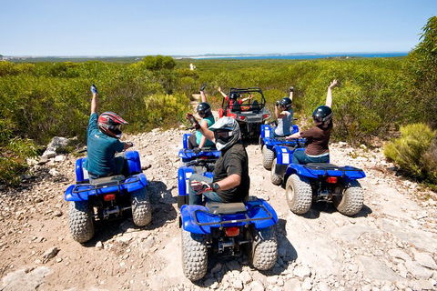 Kangaroo Island Quad Bike (ATV) Tours - Hervey Bay Accommodation 3