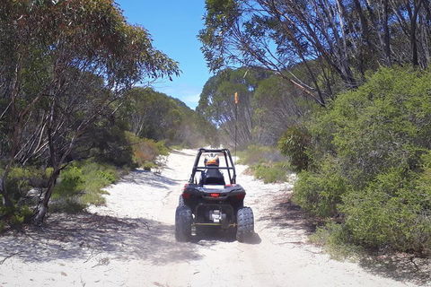 Kangaroo Island Quad Bike (ATV) Tours - Hervey Bay Accommodation 4