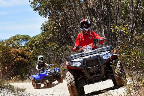 Kangaroo Island Quad Bike (ATV) Tours - Hervey Bay Accommodation 5
