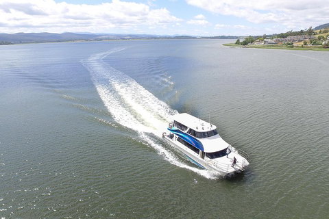 2.5 Hour Morning Discovery Cruise Including Sailing Into The Cataract Gorge - Tourism Hervey Bay 2